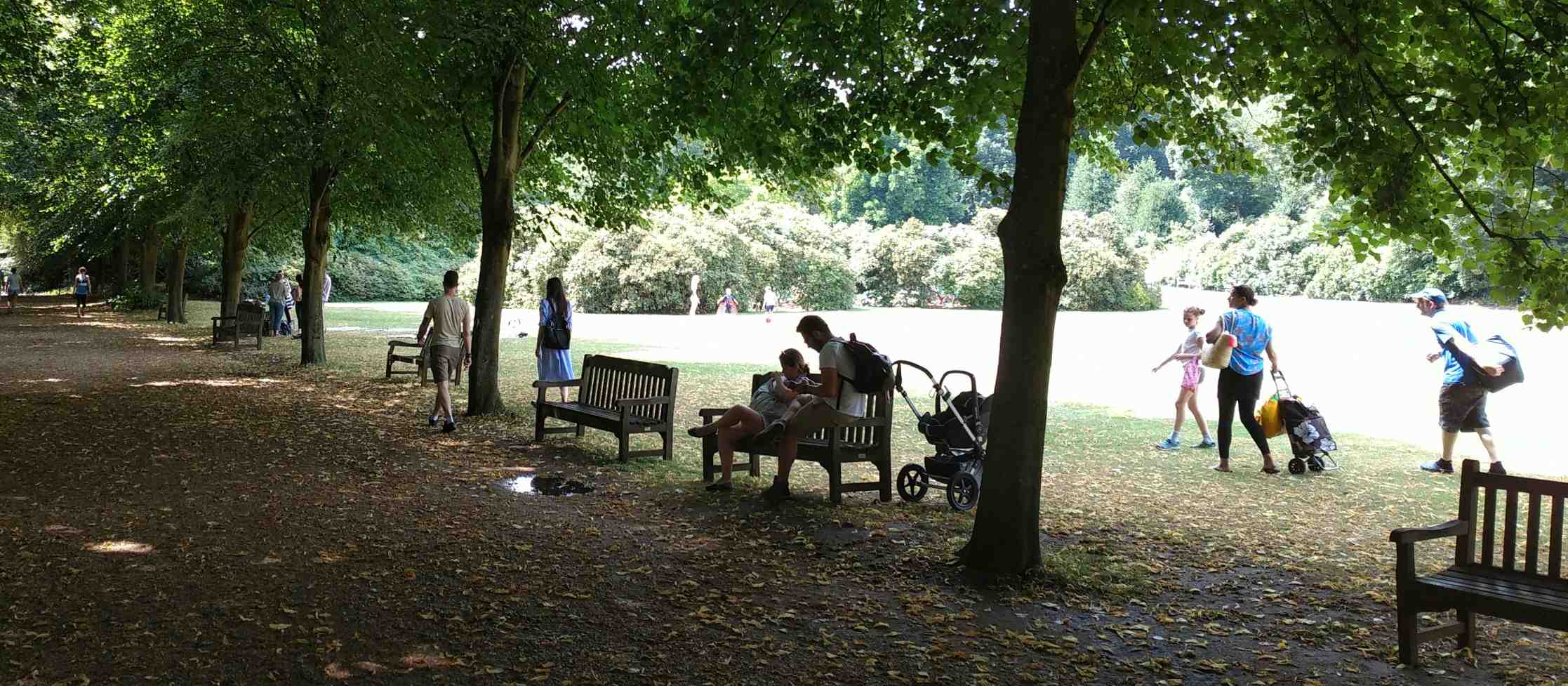 Hampstead Heath - walkers on the tree-lined path